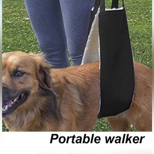 Portable dog walker